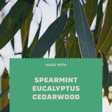 Rainforest Rapids Dry Lotion