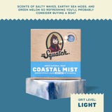Coastal Mist