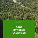 Alpine Sage