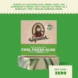 Cool Fresh Aloe