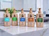 Cool Fresh Aloe Lotion