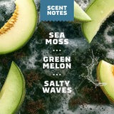 Coastal Mist Spray Deodorant