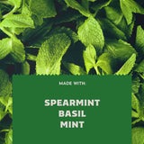 Spearmint Basil