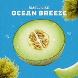 Coastal Mist Spray Deodorant