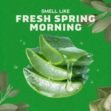 Cool Fresh Aloe Deodorant