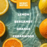 14 oz Summer Citrus Body Wash