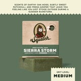 Sierra Storm